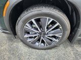 New 2026 INFINITI QX60 Luxe w/ Cargo Package image 6