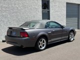 Used 2003 Ford Mustang GT Premium image 5