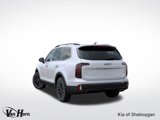 New 2025 Kia Telluride SX image 5