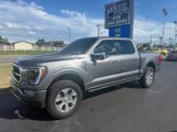 Used 2023 Ford F150 Platinum w/ Equipment Group 701A High image 6