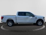 New 2025 Ford F150 XLT w/ Equipment Group 301A Standard image 3