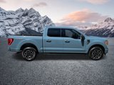 Certified 2023 Ford F150 XLT w/ Equipment Group 302A High image 5