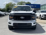Used 2024 Ford F150 STX image 2