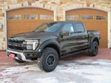 New 2025 Ford F150 Raptor image 2