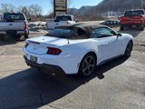 Used 2024 Ford Mustang Premium image 5