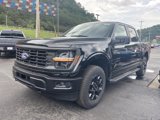 New 2025 Ford F150 STX w/ Equipment Group 201A FX4 image 3