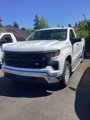 Used 2024 Chevrolet Silverado 1500 W/T w/ WT Fleet Convenience Package image 2