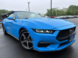 Certified 2024 Ford Mustang Premium image 3