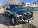 New 2025 Toyota Tundra SR5 image 4