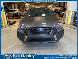 Used 2025 Subaru Outback Wilderness image 2