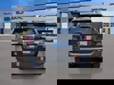 New 2025 Subaru Outback Wilderness w/ Wilderness Package image 4