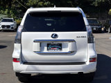Used 2021 Lexus GX 460 Premium w/ Premium Package image 6