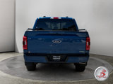 Used 2023 Ford F150 XLT w/ Equipment Group 302A High image 6