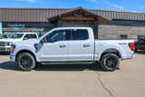 New 2025 Ford F150 XLT w/ Equipment Group 301A Standard image 3