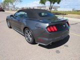 Used 2017 Ford Mustang Premium image 2