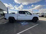 New 2025 Chevrolet Silverado 1500 Custom Trail Boss w/ LPO, Dark Essentials Package image 6