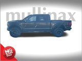 New 2025 Ford F150 Raptor image 2