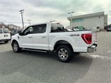 Certified 2022 Ford F150 XLT w/ Equipment Group 302A High image 3