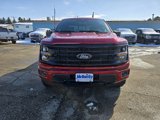 New 2025 Ford F150 XLT w/ Equipment Group 303A High image 3