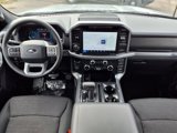 New 2025 Ford F150 XLT w/ Equipment Group 302A MID image 3