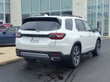 New 2025 Honda Pilot Elite image 3