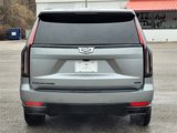 Used 2024 Cadillac Escalade ESV Sport Platinum w/ LPO, ONYX Package image 5