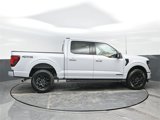 New 2025 Ford F150 XLT w/ Equipment Group 302A MID image 3