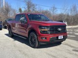 New 2025 Ford F150 XLT w/ Equipment Group 302A MID image 4