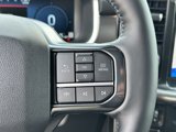 New 2025 Ford F150 Platinum image 3