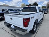 New 2025 Ford F150 XLT image 4