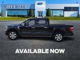 Used 2023 Ford F150 Platinum image 4