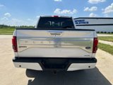 Used 2016 Ford F150 Platinum w/ Equipment Group 701A Luxury image 4