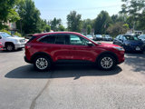 Used 2022 Ford Escape SE w/ Convenience Package image 6