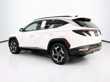 Used 2024 Hyundai Tucson Limited image 5