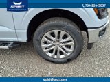 New 2025 Ford F150 XLT w/ Equipment Group 302A MID image 4