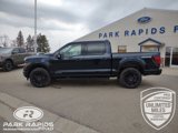 New 2025 Ford F150 XLT w/ Equipment Group 303A High image 2