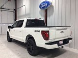 New 2025 Ford F150 Platinum image 4