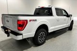 Used 2023 Ford F150 XLT image 5