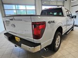 New 2025 Ford F150 XLT w/ Equipment Group 302A MID image 6
