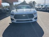 New 2025 Ford Mustang Coupe image 2