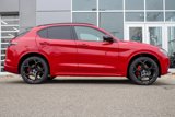New 2025 Alfa Romeo Stelvio Tributo Italiano image 4