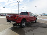 New 2025 Ford F150 XLT w/ Equipment Group 302A MID image 6