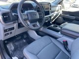 New 2025 Ford F150 XLT w/ Equipment Group 303A High image 6