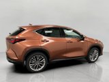 New 2025 Lexus NX 350 AWD w/ Luxury Package image 3