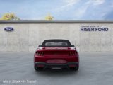 New 2025 Ford Mustang GT Premium image 5