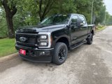 New 2025 Ford F250 XL image 3