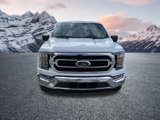 Certified 2022 Ford F150 XLT w/ Equipment Group 302A High image 3