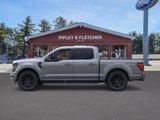 New 2025 Ford F150 XLT w/ Equipment Group 303A High image 3