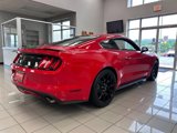 Used 2017 Ford Mustang GT Premium w/ Equipment Group 401A image 3