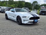 Used 2022 Ford Mustang GT Premium w/ Equipment Group 401A image 3